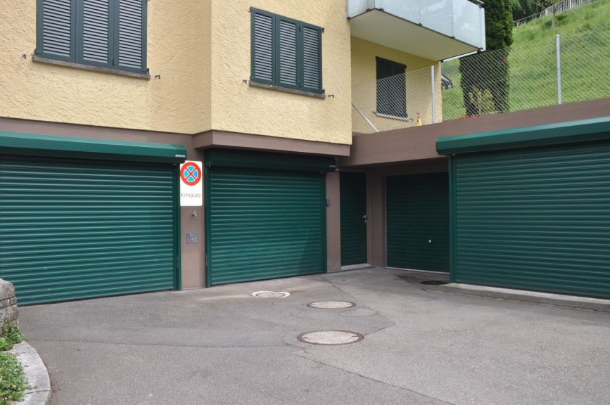 Einzeltore RollMatic, Kipptor N80 Motiv 968 und Nebentüre RollMatic