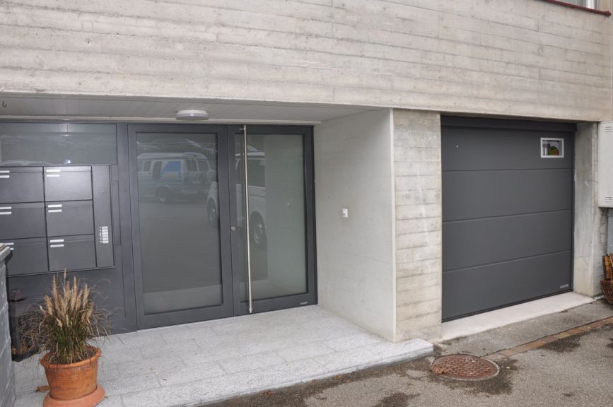 Aluminium-Türe TopComfort 2-flüglig, Motiv 102, Farbe in CH 703 Anthrazit metallic (Eingangstüre) und Garagen-Sektionaltor RenoMatic